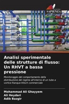 Adib Bazgir, Mohammad Ali Ghayyem, Ali Heydari - Analisi sperimentale delle strutture di flusso: Un RHVT a bassa pressione