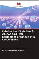 M. Javad Niknam Jahromi - Fabrication d'hybrides beta-CD/CaSO4.2H2O hautement ordonnés et beta-CD/Colorant