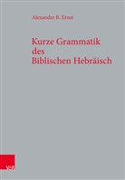 Alexander B Ernst, Alexander B. Ernst - Kurze Grammatik des Biblischen Hebräisch