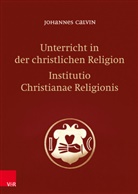 Johannes Calvin, Matthias Freudenberg - Unterricht in der christlichen Religion - Institutio Christianae Religionis