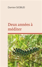 Damien Siobud - Deux années à méditer