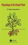 P Basuchaudhuri, P (Indian Counsil of Agricultural R Basuchaudhuri - Physiology of the Peanut Plant