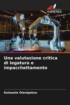 Kolawole Olanipekun - Una valutazione critica di legatura e impacchettamento