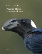 Kai Gedeon, Torsten Pröhl - Noahs Rabe