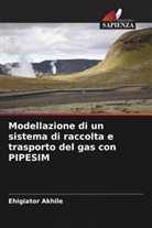 Ehigiator Akhile - Modellazione di un sistema di raccolta e trasporto del gas con PIPESIM