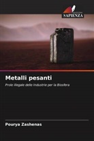 Pourya Zashenas - Metalli pesanti