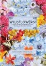 Barbara R. Haddon, April B. Lynch, Tbd - WILDFLOWERS! A Guide to Identifying the Wildflowers of Northern California's Wine Country