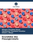 Umed C. Bhoya, Mitaben Dayabhai Khunt, Vipulkumar Chand Kotadiya, Vipulkumar Chandulal Kotadiya - Grundidee des Flüssigkristalls