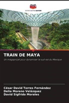 David Sigfrido Morales, Delia Moreno Velázquez, César David Torres Fernández - TRAIN DE MAYA