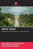 David Sigfrido Morales, Delia Moreno Velázquez, César David Torres Fernández - MAYA TRAIN
