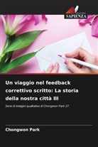 Chongwon Park - Un viaggio nel feedback correttivo scritto: La storia della nostra città III