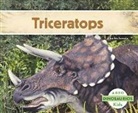 Charles Lennie - Triceratops