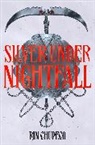 Rin Chupeco - Silver Under Nightfall