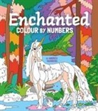 Andres Vaisberg, Andres Vaisberg - Enchanted Colour By Numbers