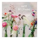 Postkarte / Gute Besserung
