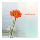 Postkarte / Gute Besserung Mohnblume