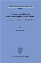 Yannick Bähr - Fremdpersonaleinsatz im Rahmen agiler Projektarbeit.