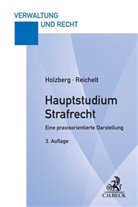 Ralf Holzberg, Matthias Reichelt - Hauptstudium Strafrecht