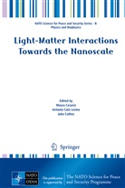 Antonio Calà Lesina, Maura Cesaria, John Collins - Light-Matter Interactions Towards the Nanoscale