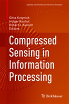 Robert J Kunsch, Robert J. Kunsch, Gitta Kutyniok, Holger Rauhut - Compressed Sensing in Information Processing