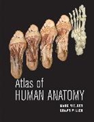 Shawn D Miller, Shawn D. Miller, Miller Shawn D., M Nielsen, Mark Nielsen, Mark (University of Utah) Nielsen... - Atlas of Human Anatomy