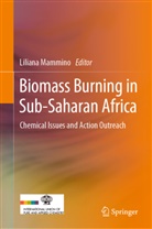 Liliana Mammino - Biomass Burning in Sub-Saharan Africa