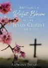 Anthony Daino - Becoming a Perfect Blossom Through Jesus Christ our Lord