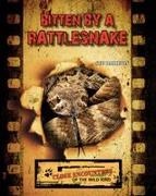 Hamilton, Sue L Hamilton, Sue L. Hamilton - Bitten by a Rattlesnake