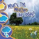 Storad, Conrad J Storad, Conrad J. Storad - What's the Weather Like Today?