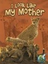 Lundgren, Julie K Lundgren, Julie K. Lundgren - I Look Like My Mother