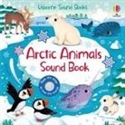 Sam Taplin, Federica Iossa - Arctic Animals Sound Book