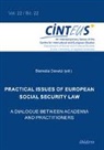 Stamatia Devetzi, Stamatia Devetzi, Gudrun Hentges, Volker Hinnenkamp, Anne Honer, Hans-Wolfgang Platzer - Practical issues of European Social Security Law: A Dialogue between Academia and Practitioners