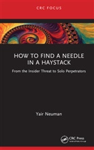 Yair Neuman - How to Find a Needle in a Haystack