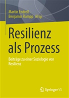 Martin Endreß, Rampp, Benjamin Rampp - Resilienz als Prozess