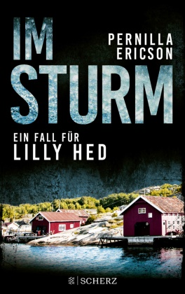 Pernilla Ericson - Im Sturm - Ein Fall für Lilly Hed. Der mitreißende Bestseller aus Schweden