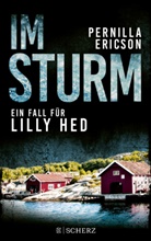 Pernilla Ericson - Im Sturm
