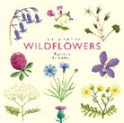 Alison Davies, Tom Frost - The Little Guide to Wildflowers