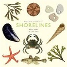 Alison Davies, Tom Frost - Little Guide to Shorelines