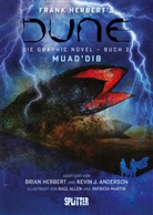 Kevin J Anderson, Kevin J. Anderson, Brian Herbert, Frank Herbert, Raúl Allén, Patricia Martin... - Dune (Graphic Novel). Band 2