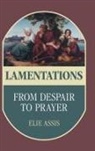 Elie Assis - Lamentations