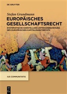 Stefan Grundmann - Europäisches Gesellschaftsrecht