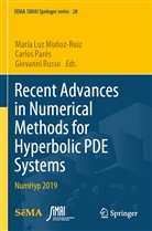 María Luz Muñoz-Ruiz, Carlos Parés, Giovanni Russo - Recent Advances in Numerical Methods for Hyperbolic PDE Systems