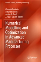 Aminesh Basak, Aminesh Basak et al, J. Paulo Davim, Chander Prakash, Sunpreet Singh - Numerical Modelling and Optimization in Advanced Manufacturing Processes