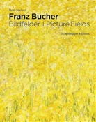 Franz Bucher, Beat Stutzer - Franz Bucher. Bildfelder