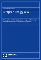 Renate Pirstner-Ebner - European Energy Law