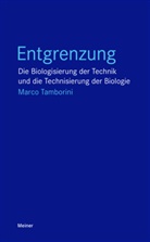 Marco Tamborini - Entgrenzung