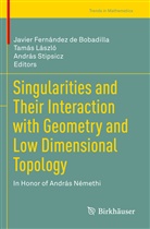 Javier Fernández de Bobadilla, Tamás László, András Stipsicz - Singularities and Their Interaction with Geometry and Low Dimensional Topology