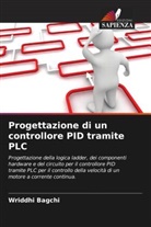 Wriddhi Bagchi - Progettazione di un controllore PID tramite PLC