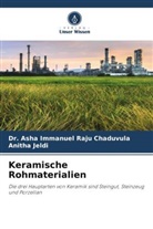 Asha Immanuel Raju Chaduvula, Dr Asha Immanuel Raju Chaduvula, Dr. Asha Immanuel Raju Chaduvula, Anitha Jeldi - Keramische Rohmaterialien
