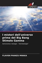 Flavien Phanzu Mwaka - I misteri dell'universo prima del Big Bang Stimolo Gamma